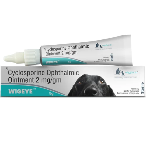 2 mg WIGEYE Cyclosporine Ophthalmic Ointment - Available in India